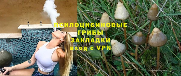 ALPHA PVP Надым