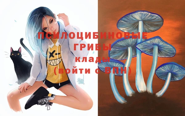 а пвп мука Навашино