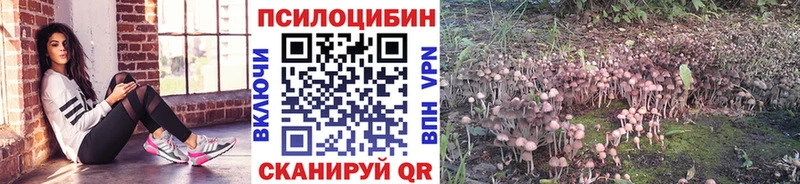 Галлюциногенные грибы прущие грибы Минусинск