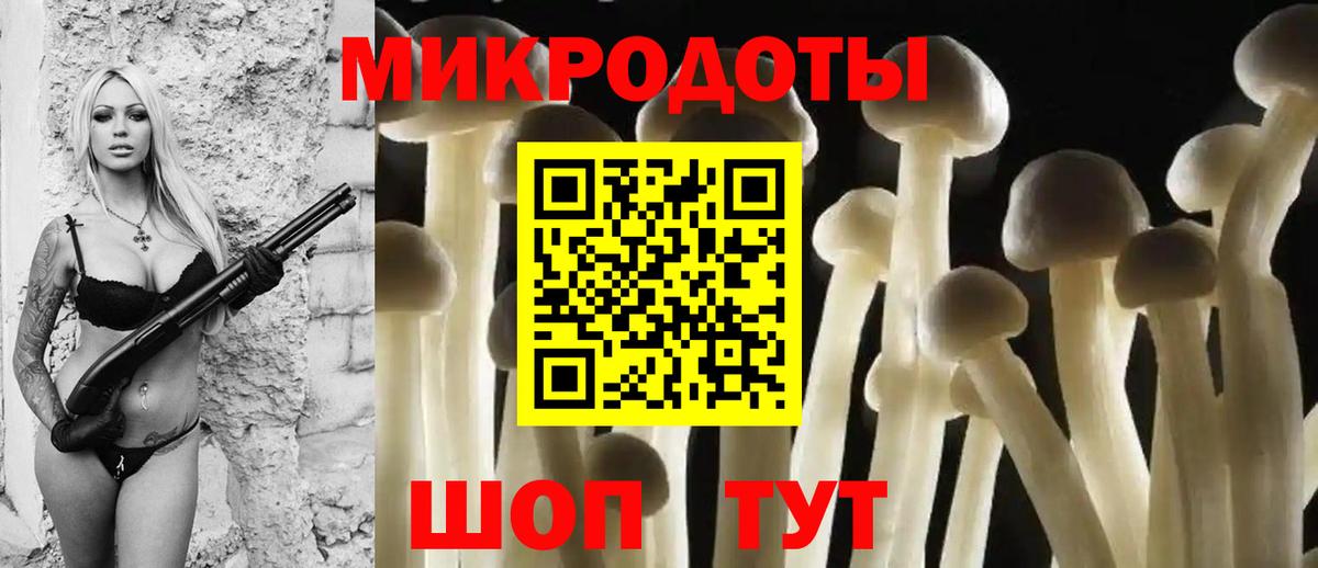 Псилоцибиновые грибы GOLDEN TEACHER Минусинск
