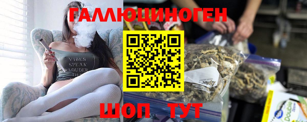 Галлюциногенные грибы GOLDEN TEACHER Минусинск