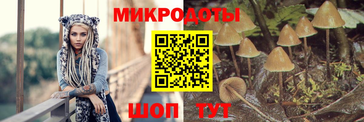 Галлюциногенные грибы Magic Shrooms  Вход с VPN  Минусинск  Галлюциногенные грибы Psilocybe 
